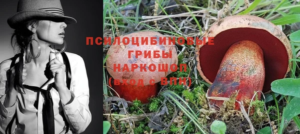 сатива Переславль-Залесский