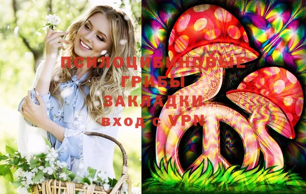 альфа пвп Осинники