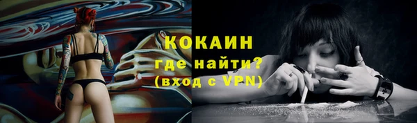 круглые Пересвет