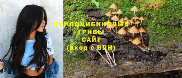 бутират Осташков