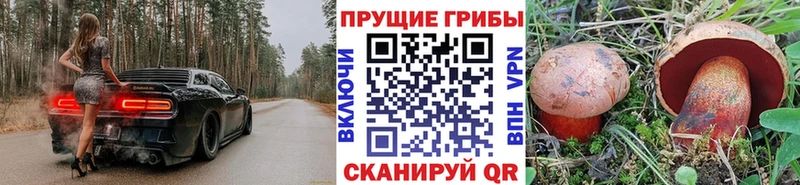 Галлюциногенные грибы ЛСД  сколько стоит  Колпашево 