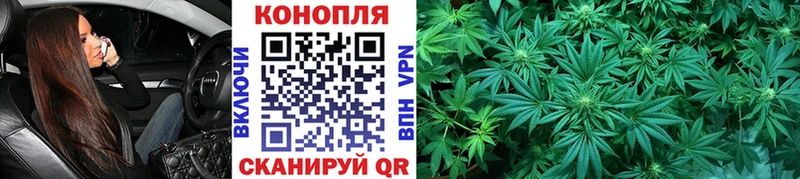 Каннабис Bruce Banner  Колпашево 